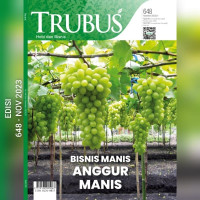 TRUBUS 648, NOVEMBER 2023/LIV